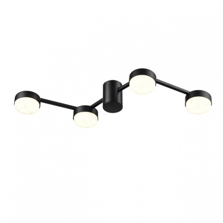 Фото Накладной светильник Lumion Sanata 8187/4C