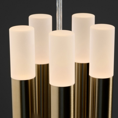 Фото Подвесная люстра Freya Wands FR6130PL-L30B