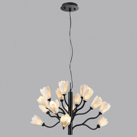 Фото Подвесная люстра Odeon Light Gardi 5090/15