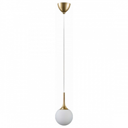 Фото Подвесной светильник Lightstar Globo 813011