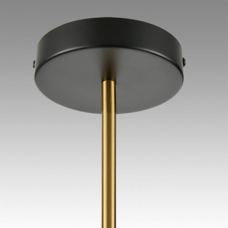 Фото Люстра на штанге Lumion Tamaresa 8112/24