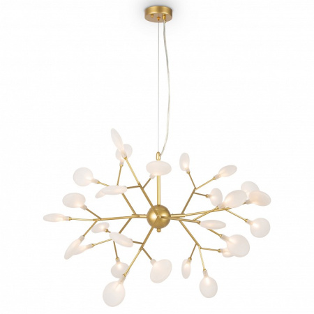 Фото Подвесная люстра Freya Florencia FR5049PL-27G