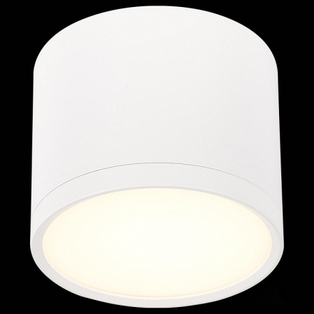 Фото Накладной светильник ST-Luce Rene ST113.532.09