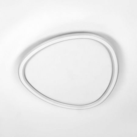 Фото Накладной светильник Citilux ТRIO CL215B250E