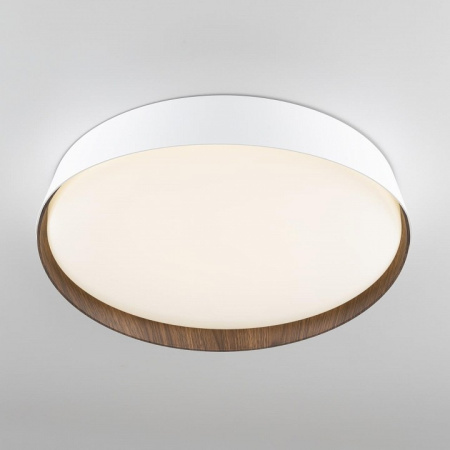 Фото Накладной светильник Citilux BONNY CL754350G