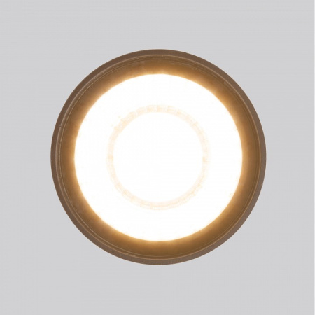 Фото Накладной светильник Elektrostandard Light LED a056231