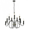 Фото Подвесная люстра Lussole Roosevelt LSP-8198