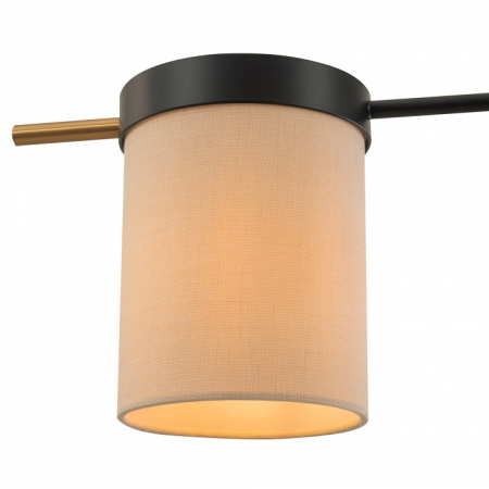 Фото Потолочная люстра Freya Bogy FR5377CL-04B