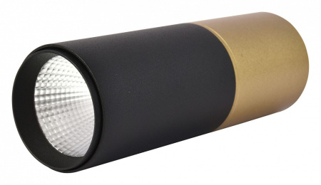 Фото Накладной светильник Favourite Deepak 3074-1C