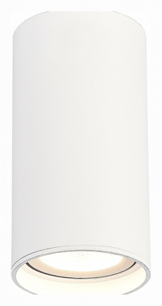 Фото Накладной светильник ST-Luce ST157 ST157.542.15