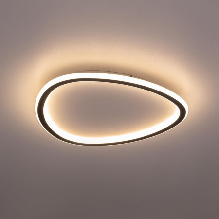 Фото Накладной светильник Citilux ТRIO CL215B241E