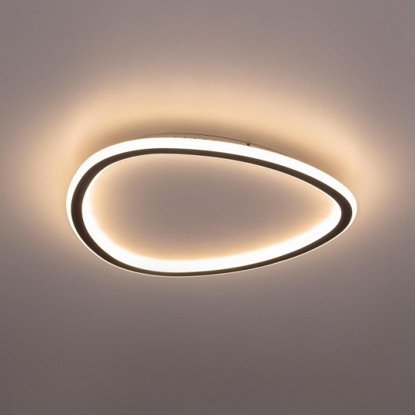 Фото Накладной светильник Citilux ТRIO CL215B241E