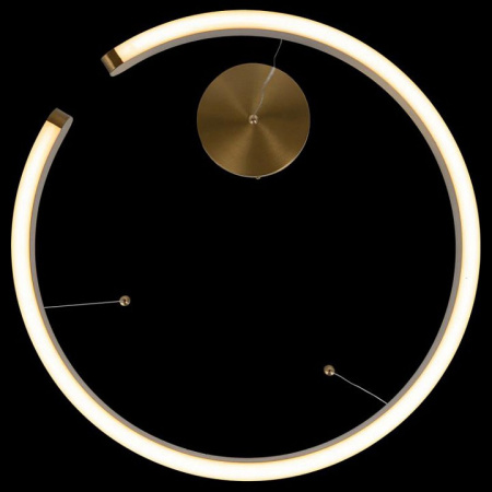 Фото Подвесной светильник Loft it Ring 10013S