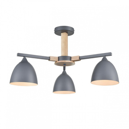 Фото Люстра на штанге Lumion Colange 8096/3C