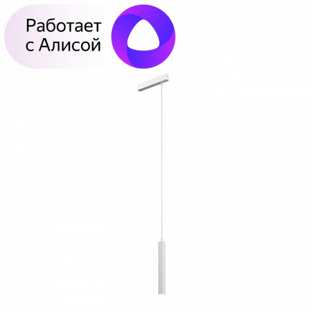 Открыть Подвесной светильник Denkirs DK8008 DK8008-WH Фото Подвесной светильник Denkirs DK8008 DK8008-WH