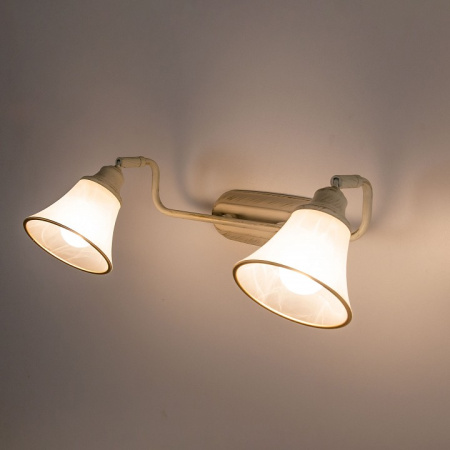 Фото Спот Citilux Прованс CL511524