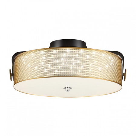 Фото Накладной светильник Lumion Drumy 6597/40L