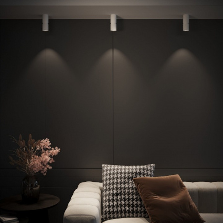 Фото Накладной светильник Elektrostandard Kayo a064727