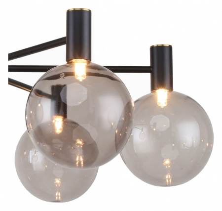 Фото Люстра на штанге Favourite Eternity 2766-6P