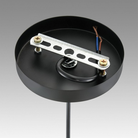 Фото Подвесной светильник Lumion Leonela 8052/1А