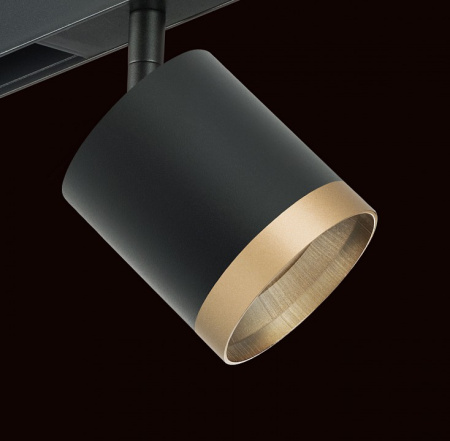 Фото Светильник на штанге Lightstar Rullo PRO348790