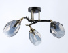 Открыть Люстра на штанге Ambrella Light TR TR303038 Фото Люстра на штанге Ambrella Light TR TR303038