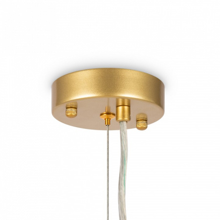 Фото Подвесная люстра Freya Florencia FR5049PL-27G