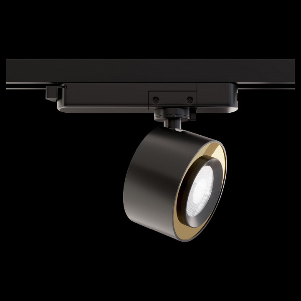 Фото Светильник на штанге Maytoni Track lamps TR023-1-12B4K