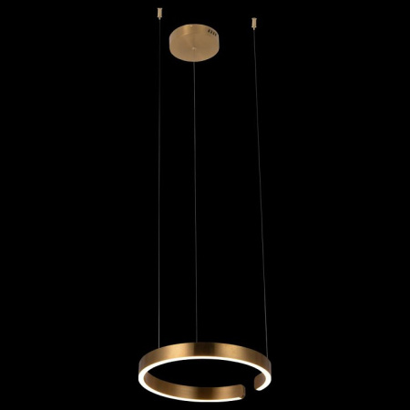 Фото Подвесной светильник Loft it Ring 10013S