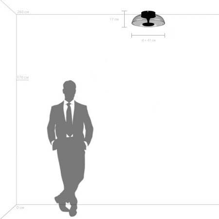 Фото Накладной светильник Lightstar Celesta 809200