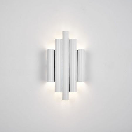 Фото Накладной светильник Favourite Tubulis 4126-2W