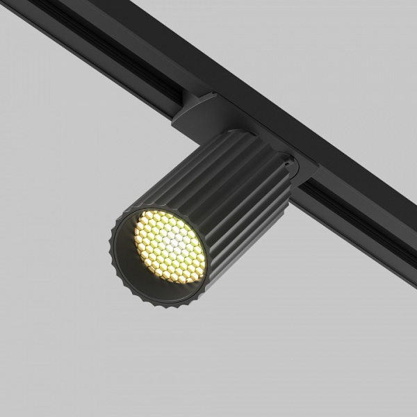 Фото Светильник на штанге Maytoni Calipso TR218-1-GU10-BK