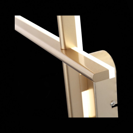 Фото Накладной светильник ST-Luce Basoni SL394.201.02