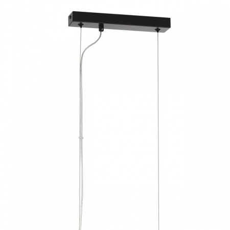 Фото Подвесной светильник Lumion Dana 8004/3A