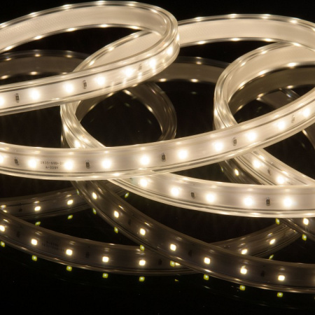 Фото Лента светодиодная Elektrostandard LS015 220V a053639