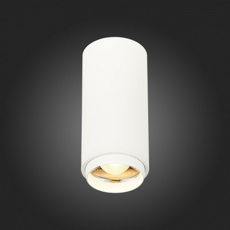 Фото Накладной светильник ST-Luce Zoom ST600.532.10