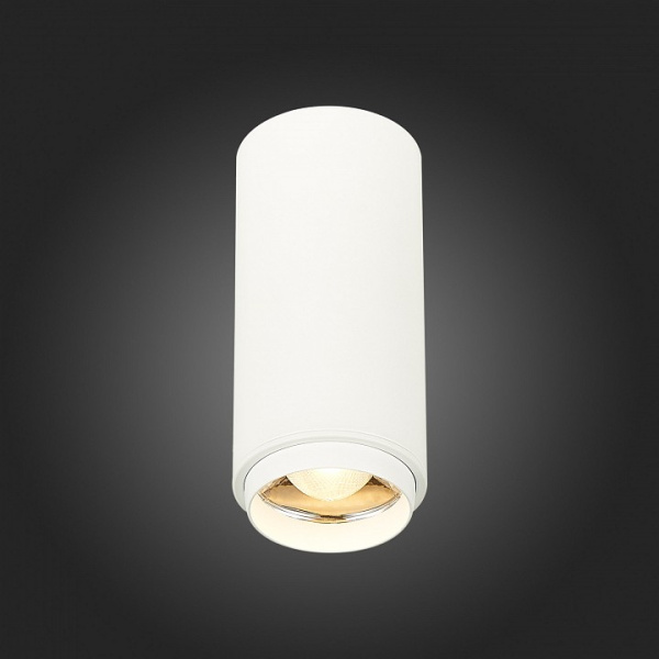 Фото Накладной светильник ST-Luce Zoom ST600.532.10