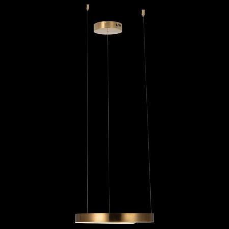 Фото Подвесной светильник Loft it Ring 10013S