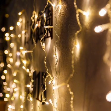 Фото Занавес световой Eurosvet 200-001 200-001 теплый белый