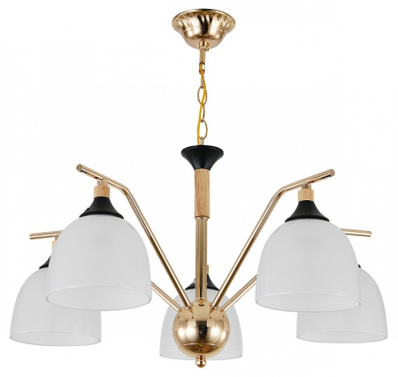 Фото Подвесная люстра Escada Actinidia 2123/5P