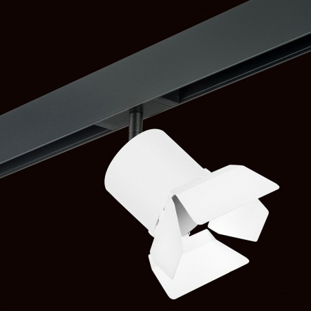 Фото Светильник на штанге Lightstar Rullo PRO3486486