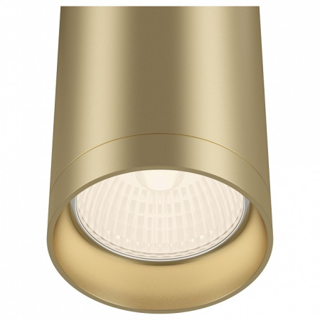 Фото Накладной светильник Maytoni Focus C010CL-01MG