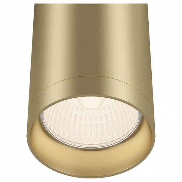 Фото Накладной светильник Maytoni Focus C010CL-01MG