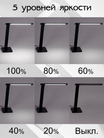 Фото Настольная лампа офисная Citilux Ньютон CL803081