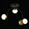 Открыть Потолочная люстра EVOLUCE Aarnio SLE6500-402-04 Фото Потолочная люстра EVOLUCE Aarnio SLE6500-402-04