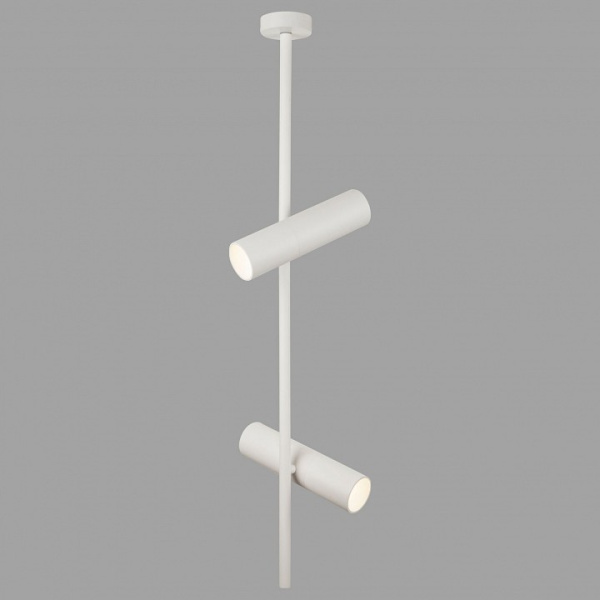 Фото Светильник на штанге Maytoni Elti C021CL-02W