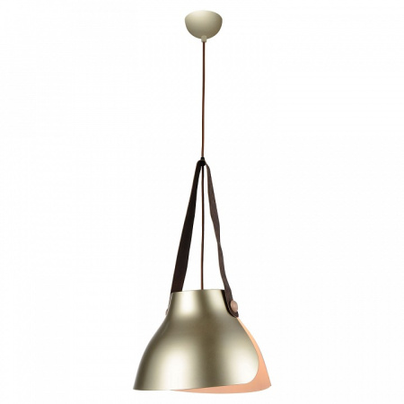 Фото Подвесной светильник Lussole Huntington LSP-9843