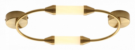 Фото Накладной светильник ST-Luce Olbia SL6004.301.02