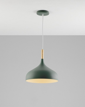 Фото Подвесной светильник Moderli Eline V1296-1P