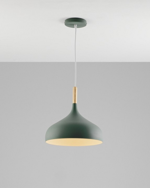 Фото Подвесной светильник Moderli Eline V1296-1P